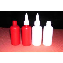 PE Bottle Blow Mold with Closure (73)